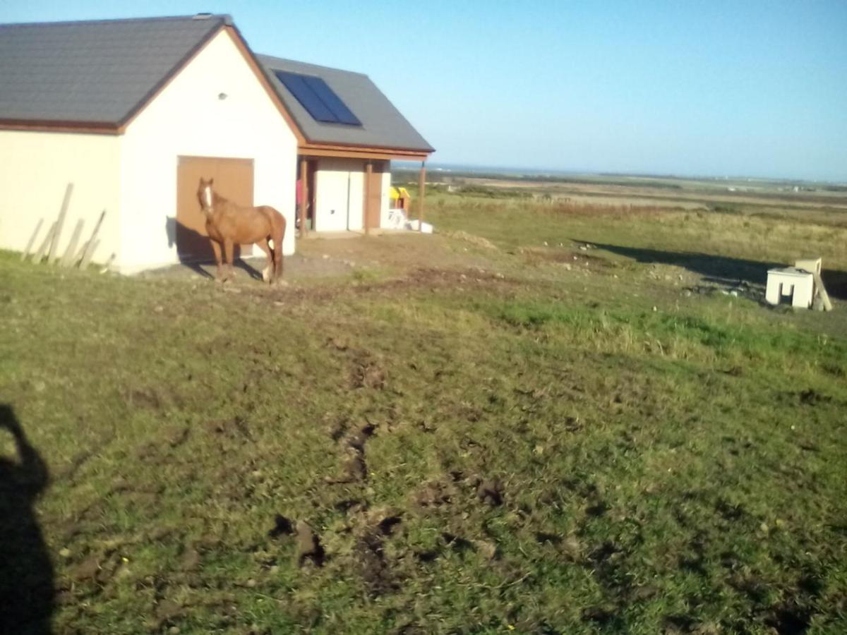 Bed and Breakfast April House Barrock Екстер'єр фото